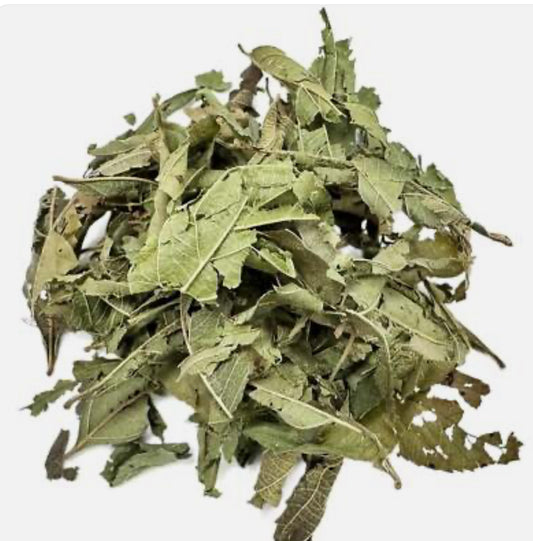 Kinkeliba leaf tea for natural detox and respiratory wellness